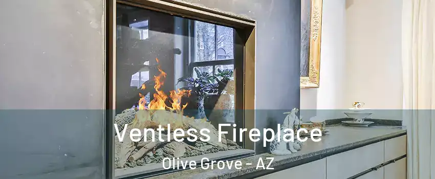 Ventless Fireplace Olive Grove - AZ