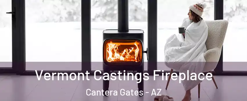 Vermont Castings Fireplace Cantera Gates - AZ