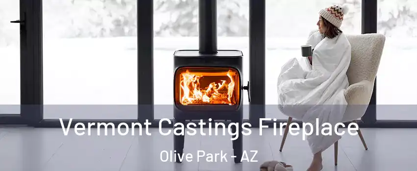 Vermont Castings Fireplace Olive Park - AZ