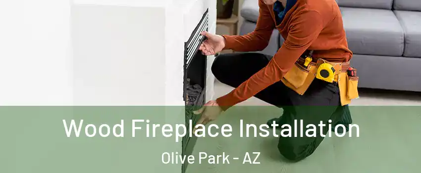 Wood Fireplace Installation Olive Park - AZ