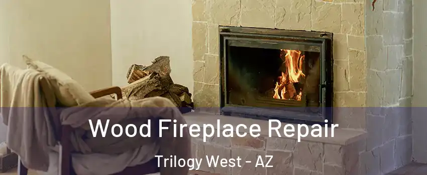 Wood Fireplace Repair Trilogy West - AZ