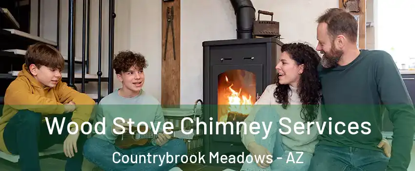 Wood Stove Chimney Services Countrybrook Meadows - AZ