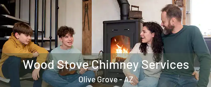 Wood Stove Chimney Services Olive Grove - AZ