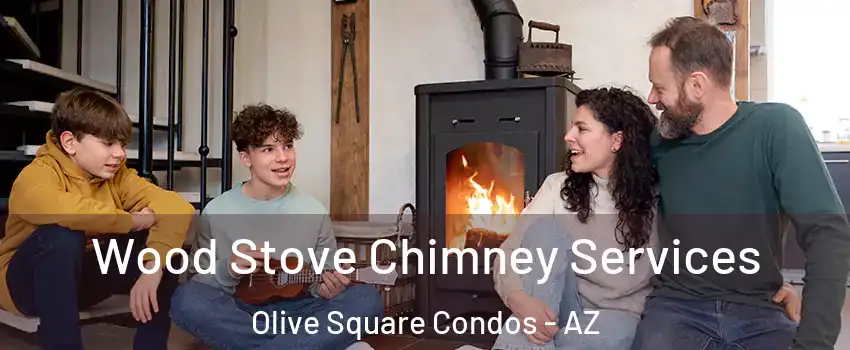 Wood Stove Chimney Services Olive Square Condos - AZ