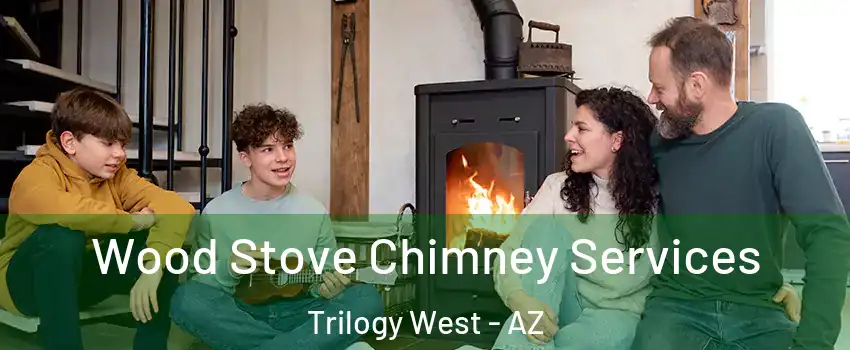 Wood Stove Chimney Services Trilogy West - AZ