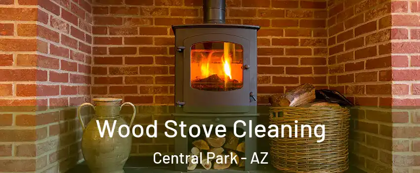 Wood Stove Cleaning Central Park - AZ