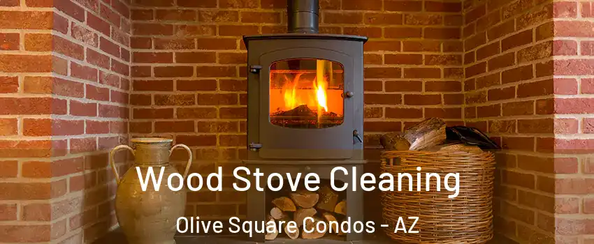 Wood Stove Cleaning Olive Square Condos - AZ