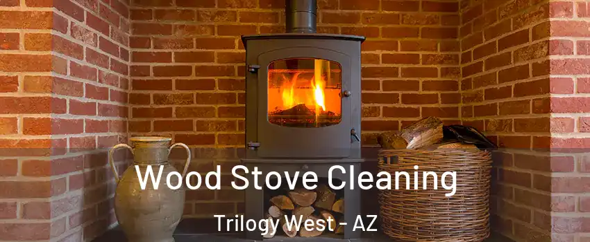 Wood Stove Cleaning Trilogy West - AZ