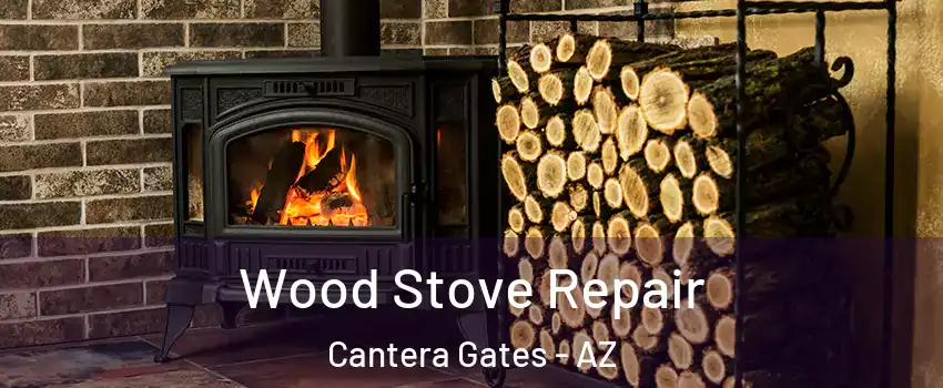 Wood Stove Repair Cantera Gates - AZ