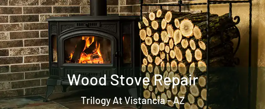 Wood Stove Repair Trilogy At Vistancia - AZ